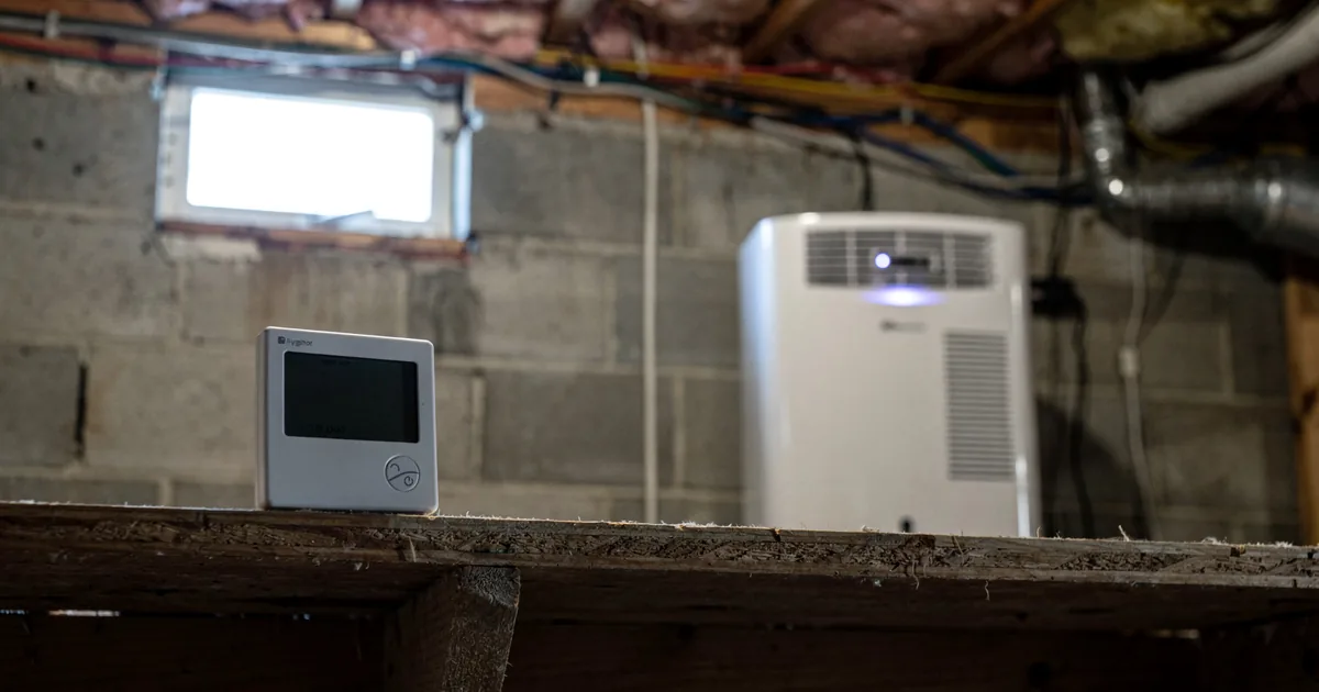 Musty Basement Smell: Humidity, Mold and Hidden Leaks